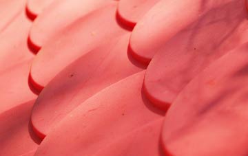 Daisy Nook plastic roof costs