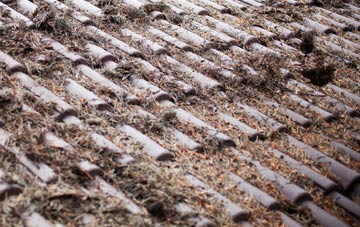 Daisy Nook roof cleaning companies